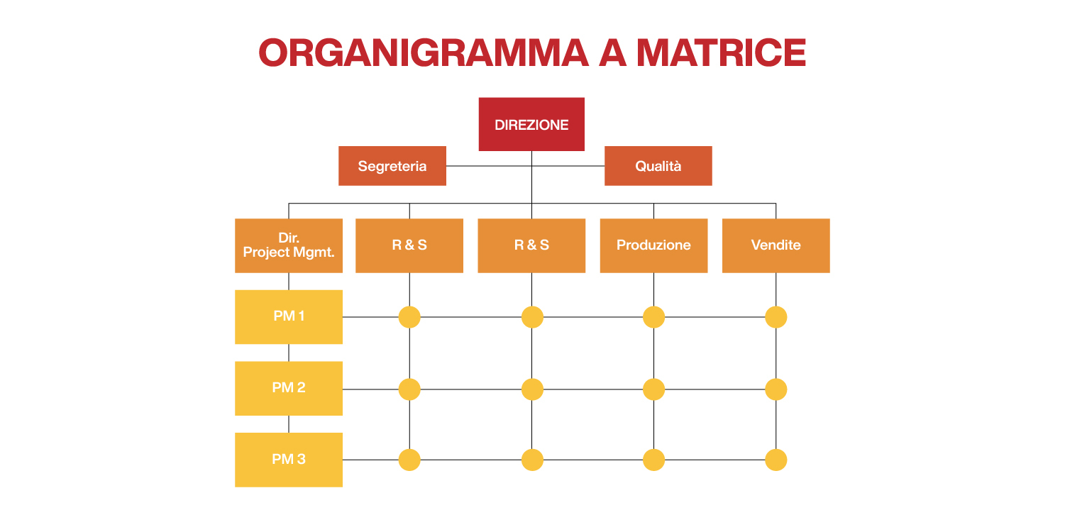 Organigramma aziendale: tipologie, esempi e come funziona